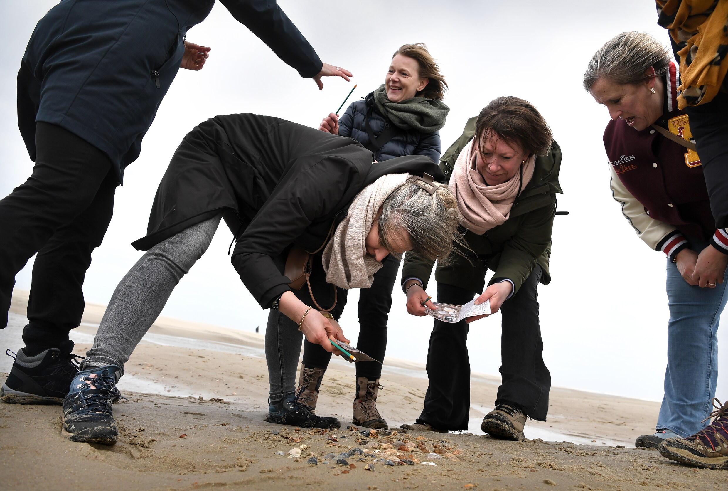 Bescherming van schelpdieren